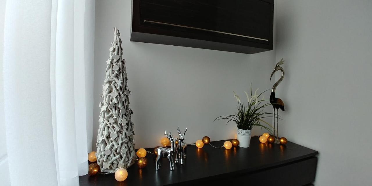 Apartament Wyspa, 2 Pokoje, Parking Gratis เมียนซีวอเจีย ภายนอก รูปภาพ