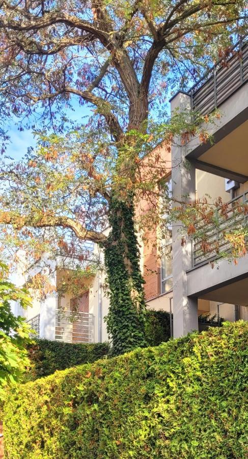 Apartament Wyspa, 2 Pokoje, Parking Gratis เมียนซีวอเจีย ภายนอก รูปภาพ